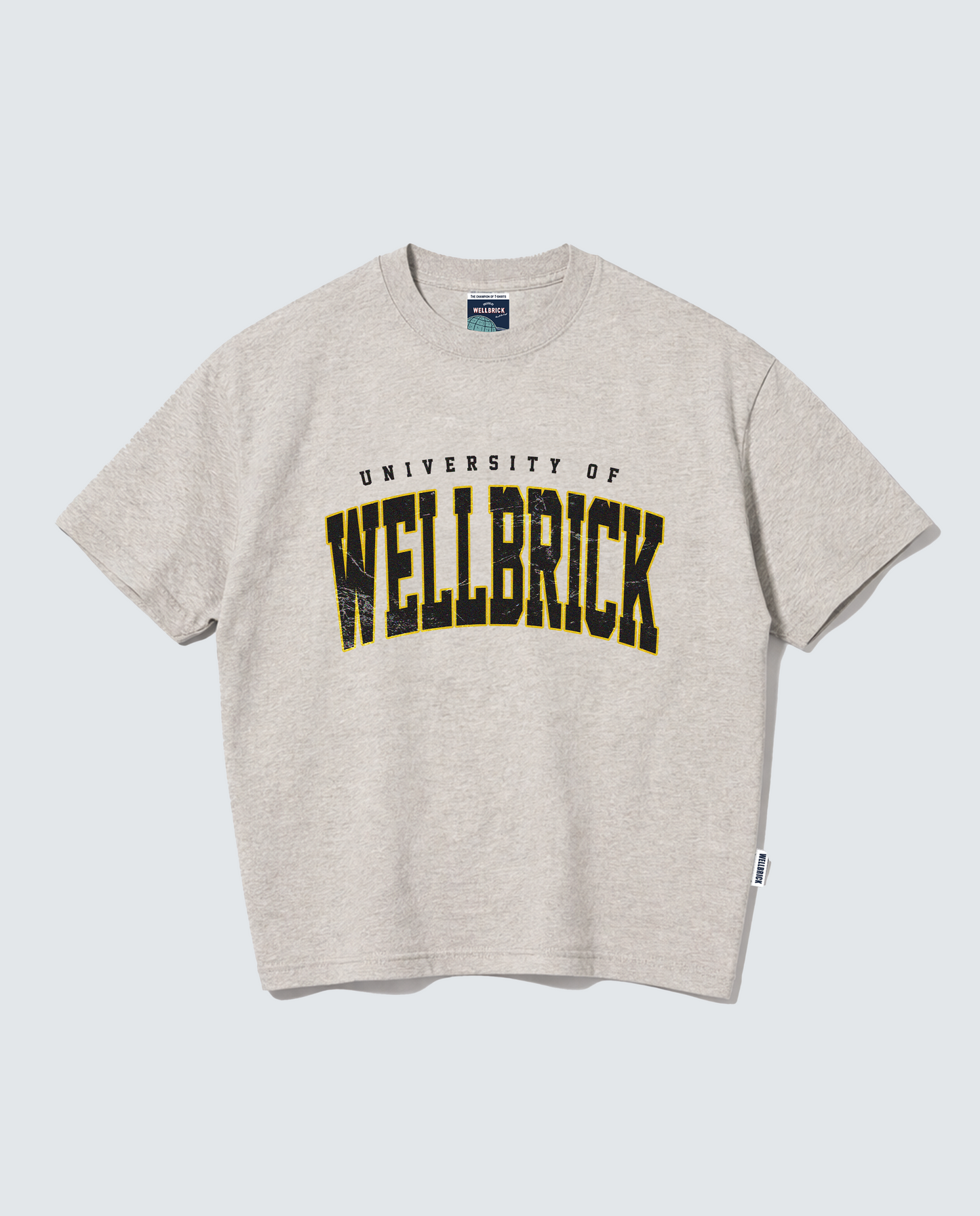 University of Wellbrick