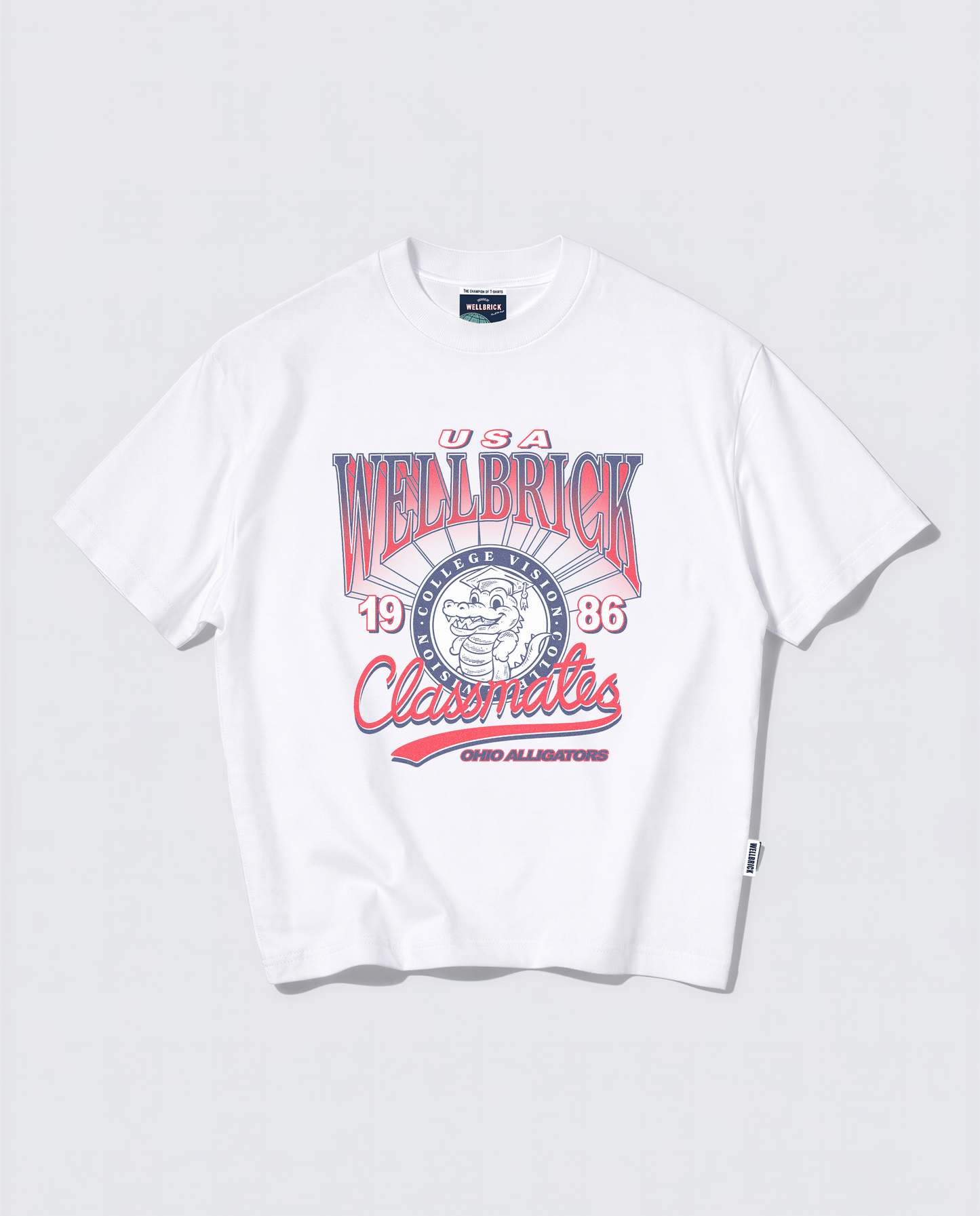 Wellbrick Classmates