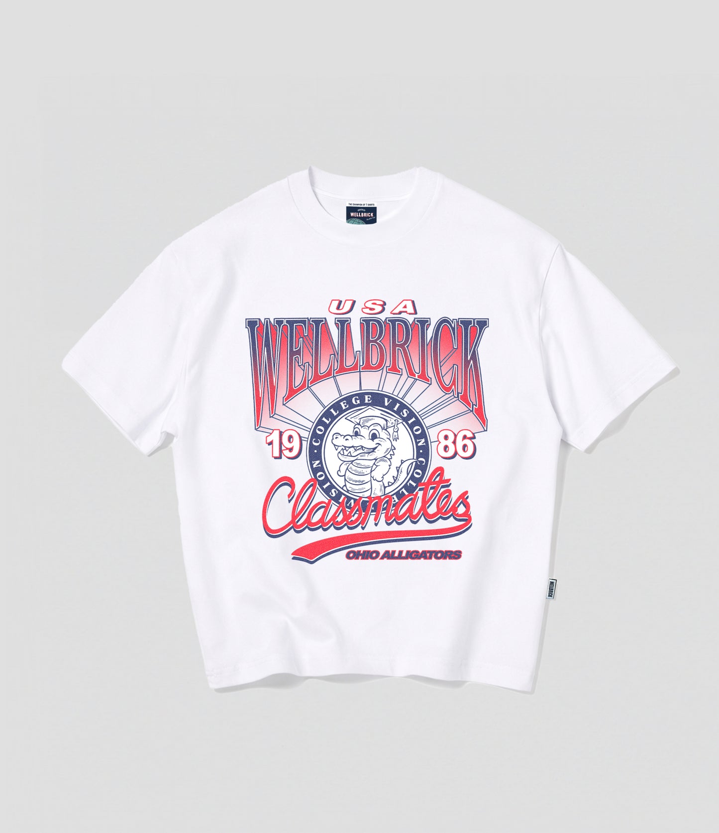 Wellbrick Classmates