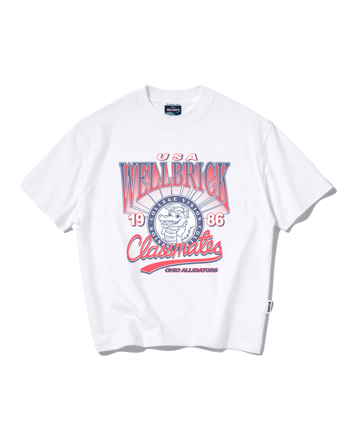 Wellbrick Classmates