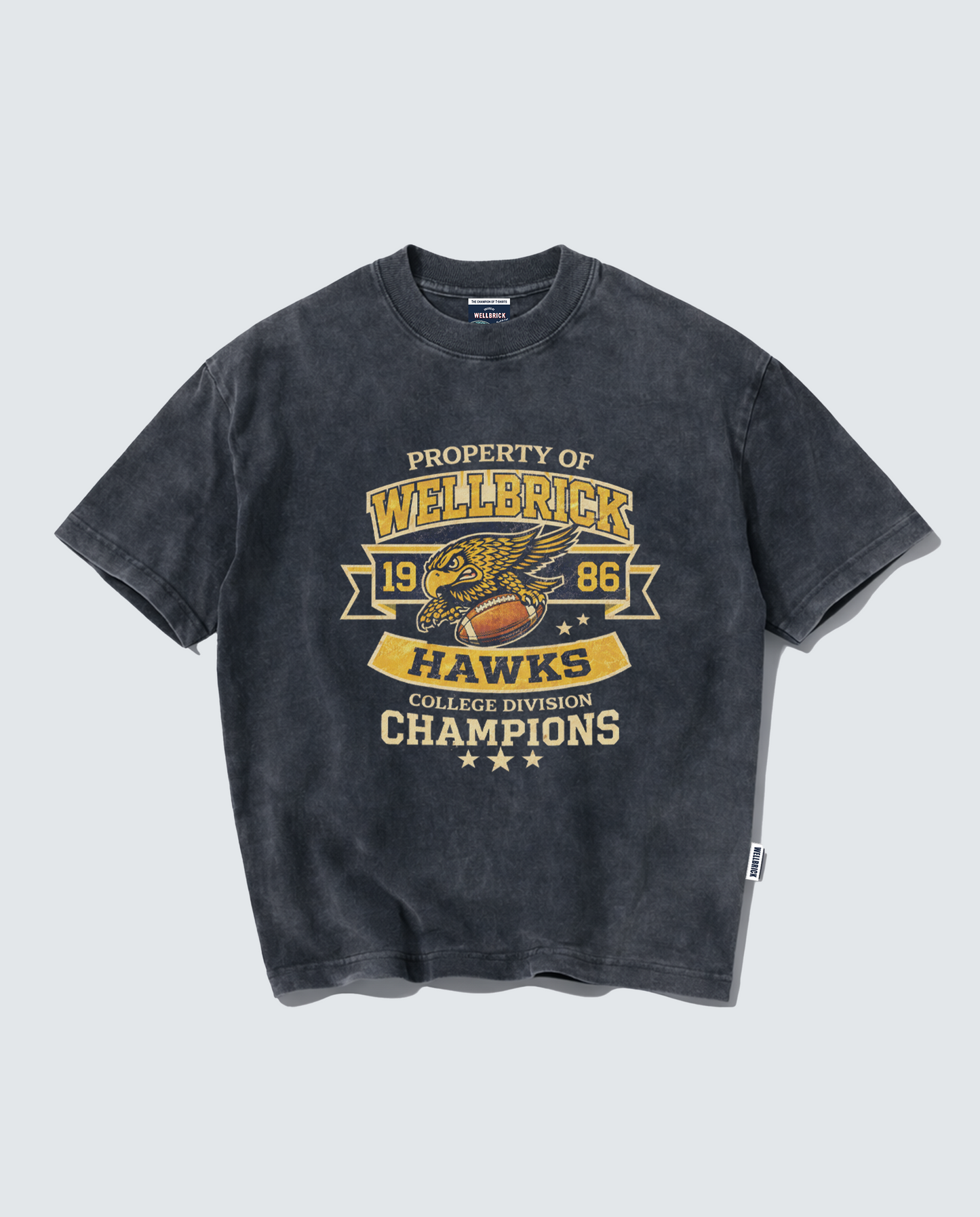 Wellbrick Hawks College Division