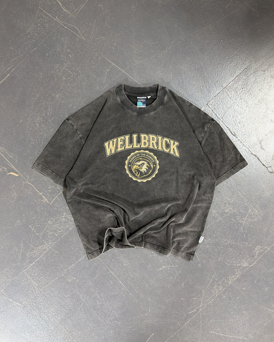 Wellbrick Hawks Varsity