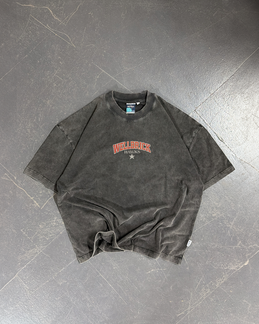 Wellbrick Hawks Athletes