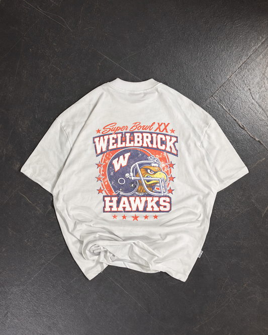 Wellbrick Hawks Super Bowl