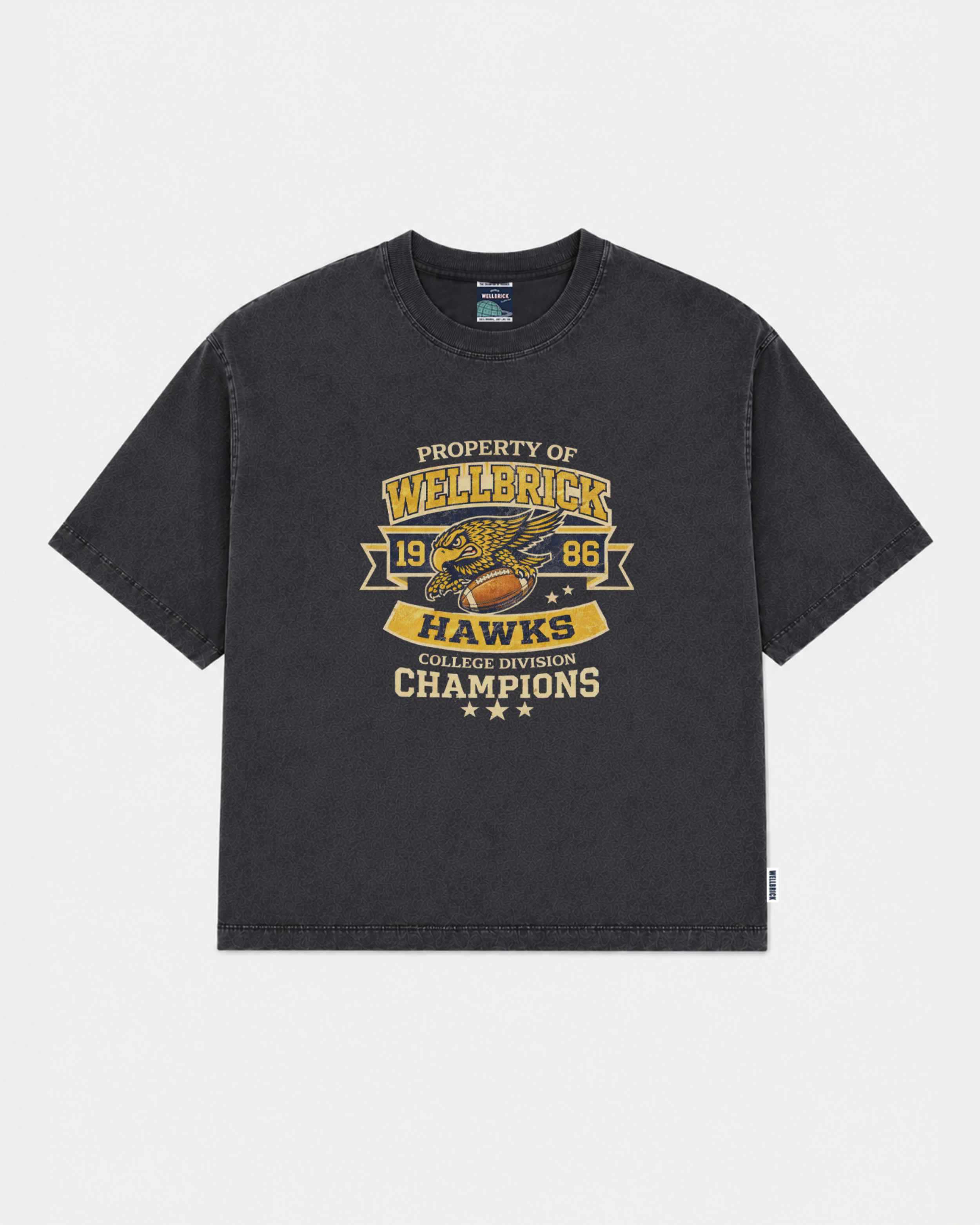 Wellbrick Hawks College Division