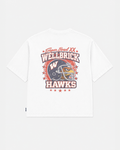 Wellbrick Hawks Super Bowl