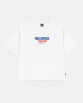 Wellbrick Hawks Official Merch