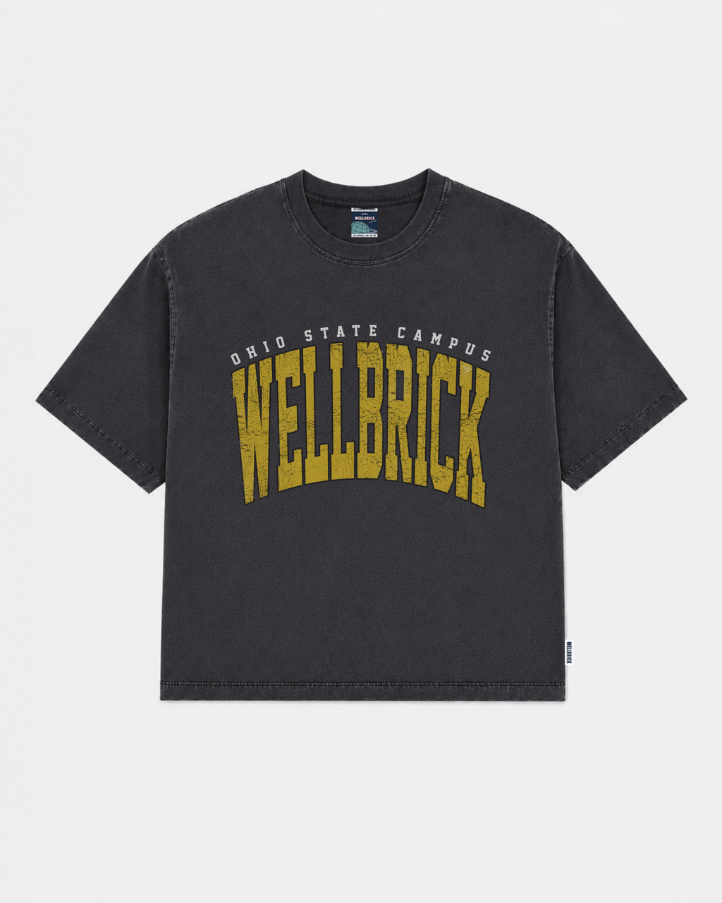 Wellbrick Campus