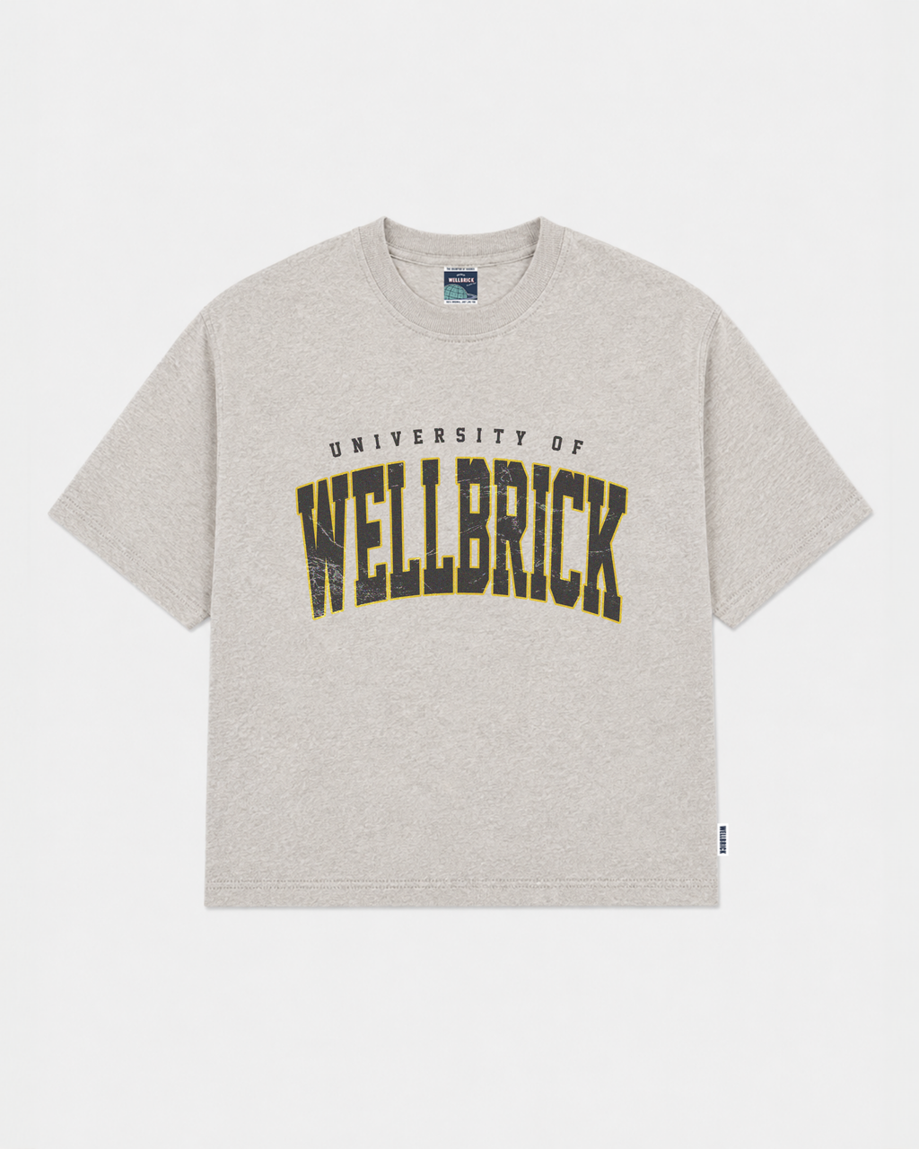 University of Wellbrick