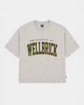 University of Wellbrick