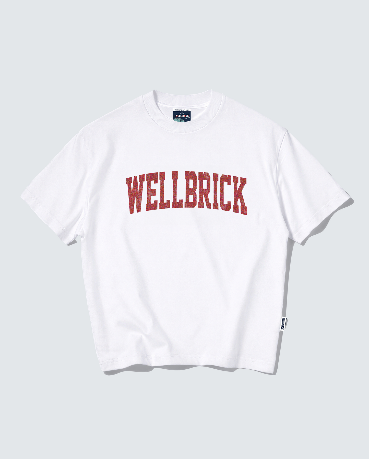 Wellbrick Freshman Year