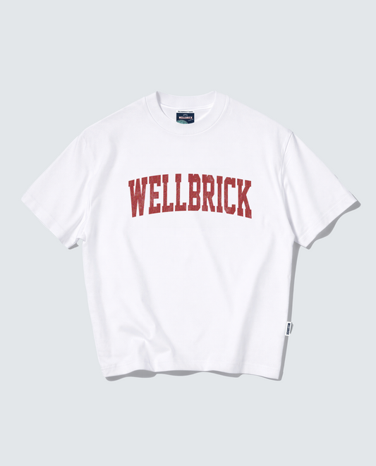 Wellbrick Freshman Year