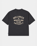 Wellbrick University Wrestling Club