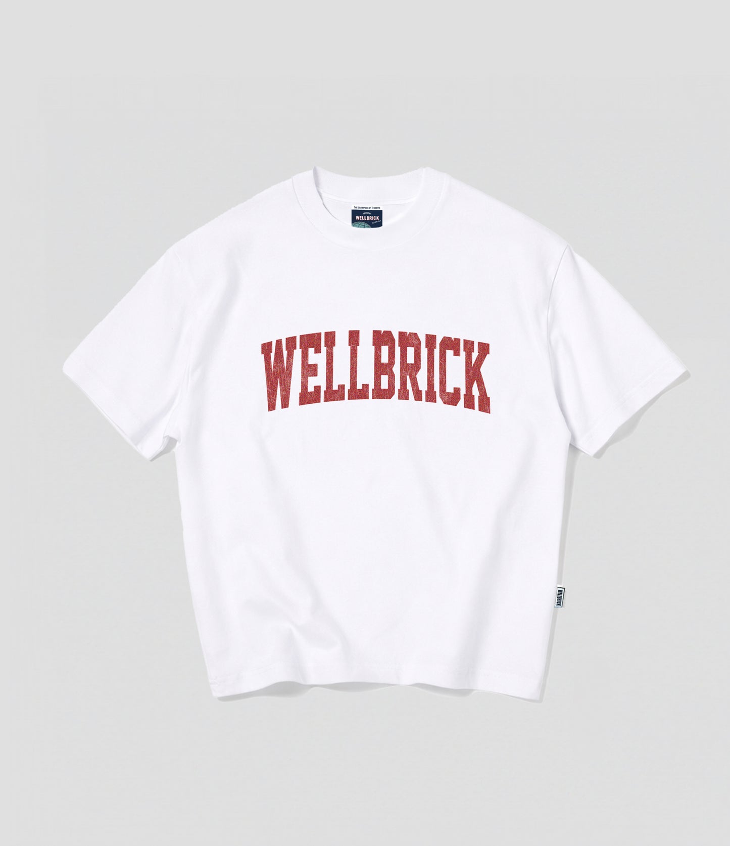 Wellbrick Freshman Year