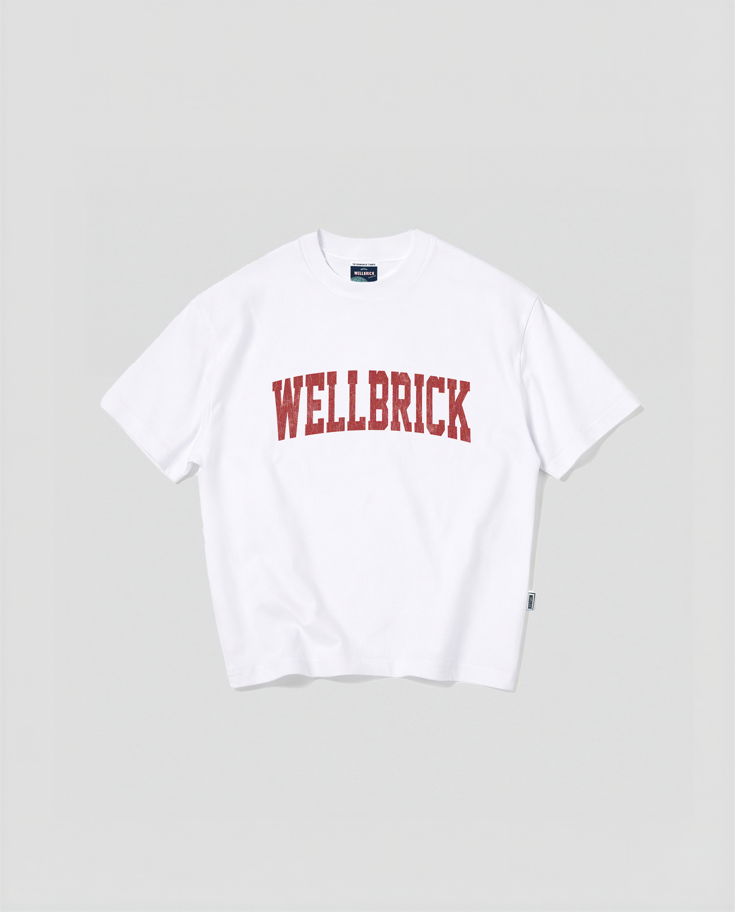 Wellbrick Freshman Year