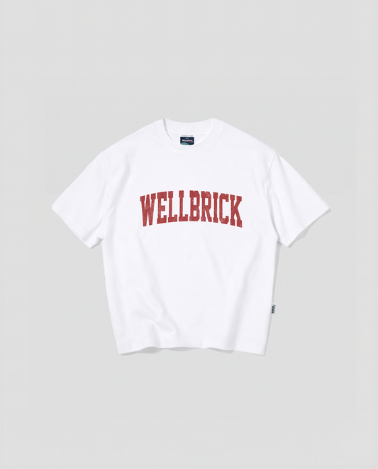 Wellbrick Freshman Year