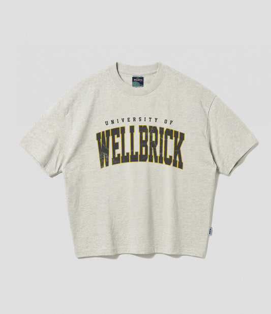 University of Wellbrick