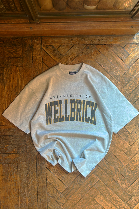 University of Wellbrick