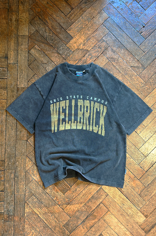 Wellbrick Campus