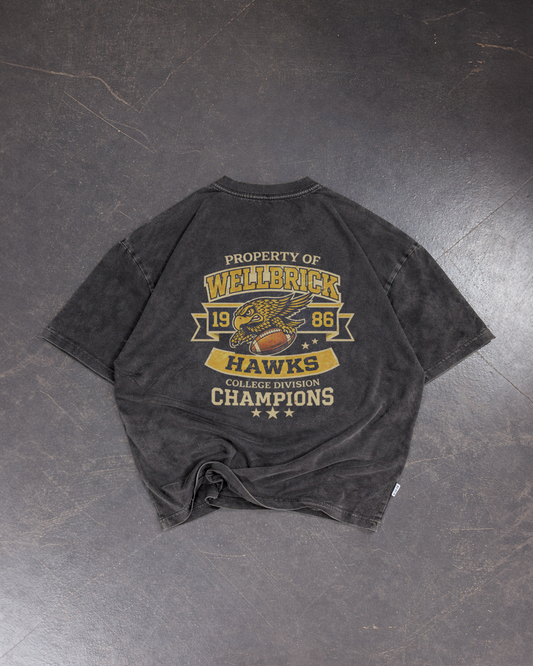 Wellbrick Hawks College Division