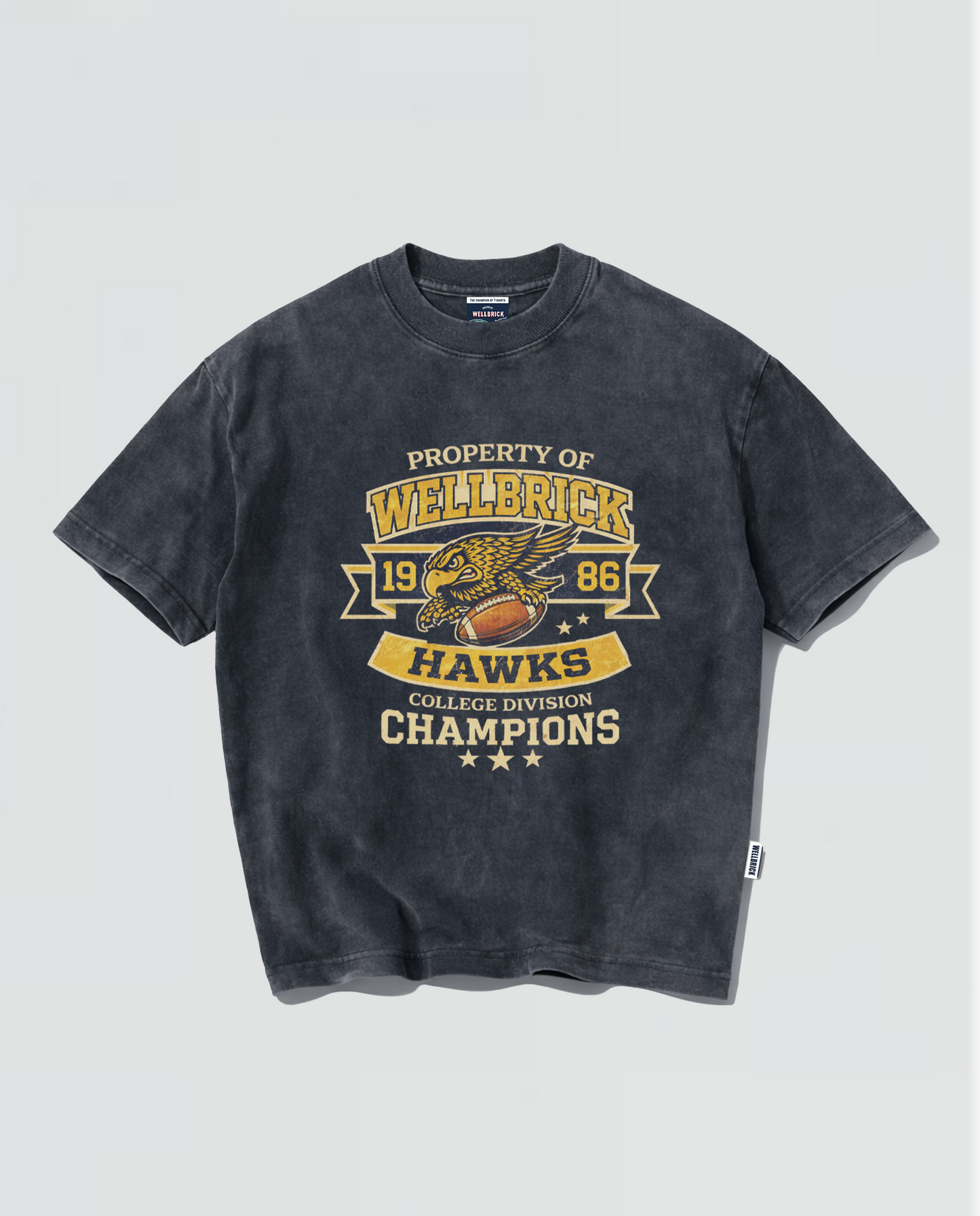 Wellbrick Hawks College Division