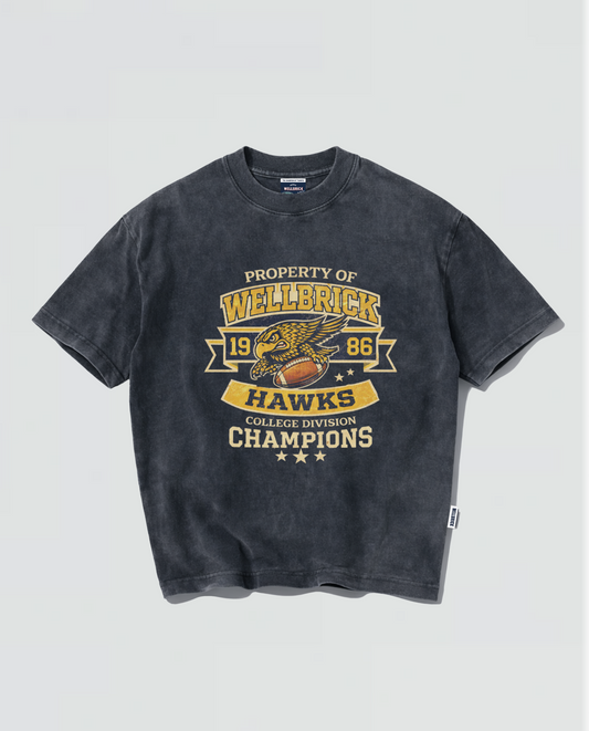 Wellbrick Hawks College Division