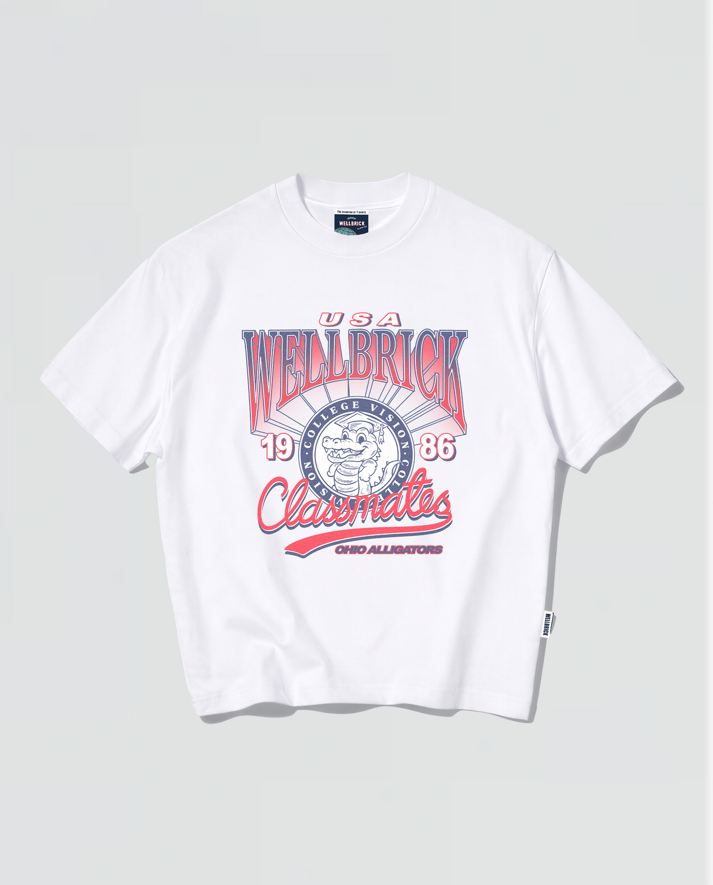 Wellbrick Classmates